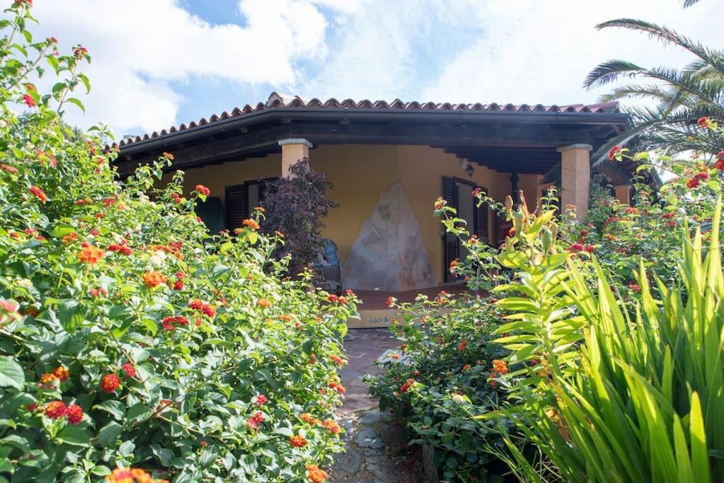 Residence Villa Smeralda Telti Екстер'єр фото